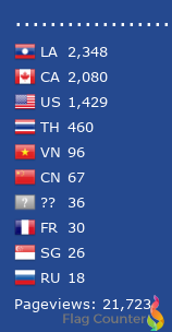 Flag Counter