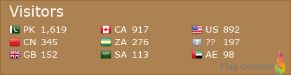 Flag Counter