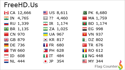 Flag Counter