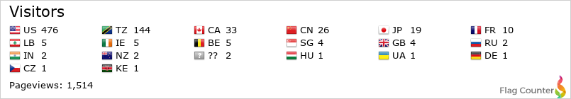 Flag Counter
