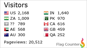 Flag Counter