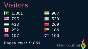 Flag Counter