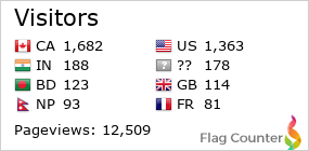 Flag Counter