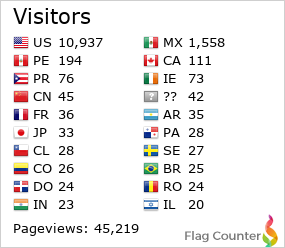 Flag Counter