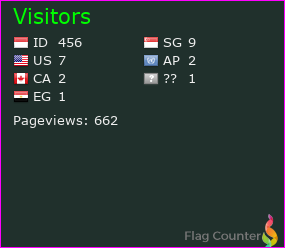 Flag Counter